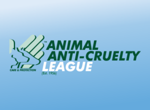 AACL Animal Anti-Cruelty League