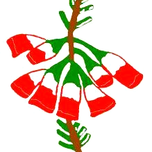 Bredasdorp Golf Klub